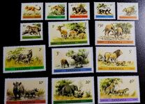 [Animals, тип EW]