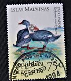 [Animals of the Falkland Islands, Islas Malvinas, type BVP]