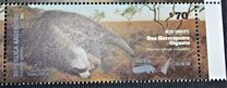 [MERCOSUR Issue - Giant Anteater, type EDP]