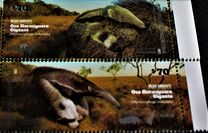[MERCOSUR Issue - Giant Anteater, type EDO]