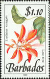 [Wild Plants, Tipi WB]