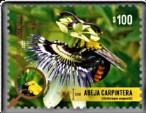 [MERCOSUR Issue - Beneficial Insects, タイプ EEZ]