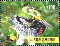 [MERCOSUR Issue - Beneficial Insects, タイプ EEZ]