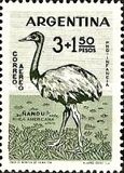 [Child Welfare - Birds, type QZ]