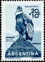 [Child Welfare - Birds, type QV]
