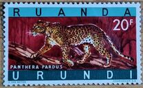 [Endangered Animals - Big Cats, type CM]