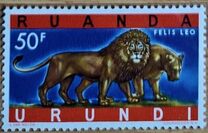[Endangered Animals - Big Cats, type CN]