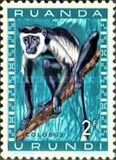 [Fauna, प्रकार CA1]