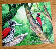 [Endemic Birds of Sri Lanka, տեսակ BSW]