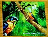 [Endemic Birds of Sri Lanka, տեսակ BST]