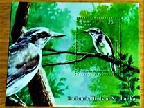 [Endemic Birds of Sri Lanka, տեսակ BSS]