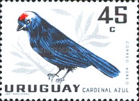 [Airmail - Birds, type OT]