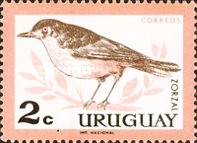 [Birds, type PE]