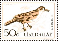 [Birds, type PF]