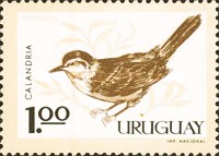 [Birds, type PG]