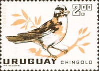 [Birds, type PH]