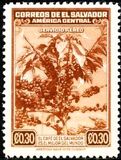 [Airmail - Coffee Tree, type FD]