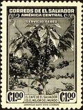 [Airmail - Coffee Tree, type FD1]