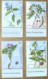 [Medicinal Plants, タイプ CLG]