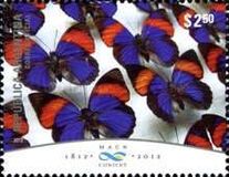 [The 200th Anniversary of the Argentine Natural Sciences Museum, type DPJ]