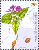 [Medicinal Plants, タイプ CLI]