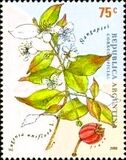 [Medicinal Plants, タイプ CLJ]