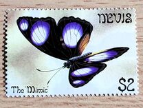 [Butterflies, प्रकार BK]