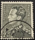 [New values, Вид FP15]