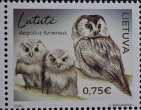 [Birds - Owls, 類型 ALJ]