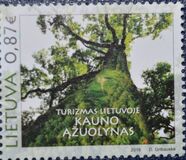 [Tourism - Oak Woods, type AHF]