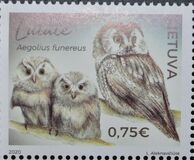 [Birds - Owls, 類型 ALJ]
