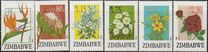 [Export Flowers, տեսակ KK]