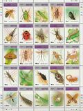 [Insects and Spiders, type BJW]