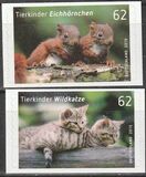 [Baby Animals, type DBI]
