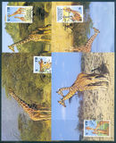 [Worldwide Nature Protection - Reticulated Giraffe, type RM]