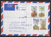 [Aloes, ประเภท IK]