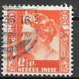[Reina Wilhelmina., tipo AC]