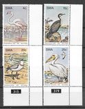 [Water Birds, Typ GQ]