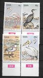 [Water Birds, Typ GQ]