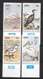 [Water Birds, Typ GQ]