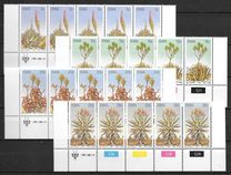[Aloes, ประเภท IK]