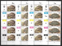 [Tortoises, тип IW]