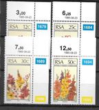 [Floral Emigrants, type VK]