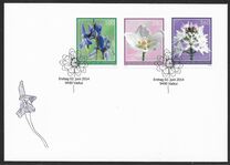 [Bog Flowers, type BQS]