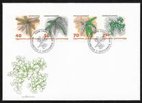 [Ferns, type AKL]