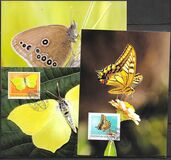 [Butterflies, Typ BKS]