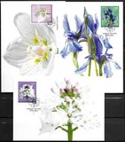 [Bog Flowers, type BQS]