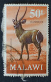 [Decimal Currency - Antelopes, タイプ DG]