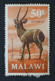 [Decimal Currency - Antelopes, タイプ DG]
