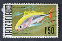 [Marine Life - Fish, type AB]